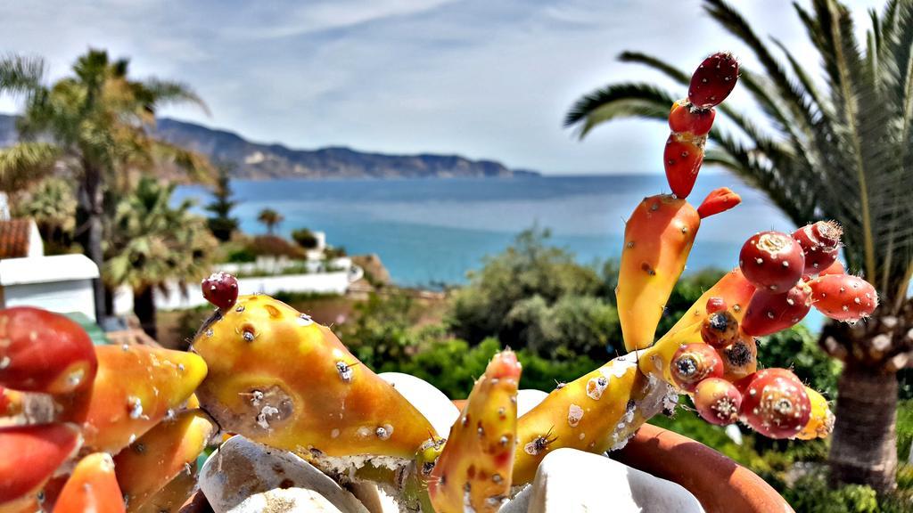 Villa Carabeo Nerja Εξωτερικό φωτογραφία